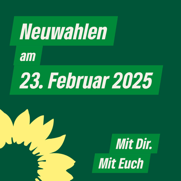 Neuwahlen